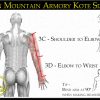 Custom Kote Sizing Options