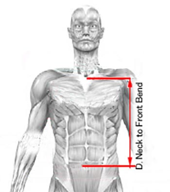 Neck to Front Bend Sizing